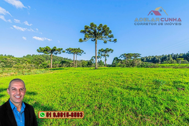 Sítio À VENDA em Serra Grande, Gramado – Três Coroas - RS: 11ª foto da galeria de imagens do imóvel