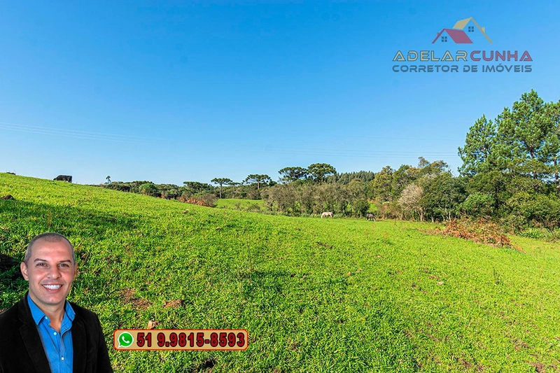 Sítio À VENDA em Serra Grande, Gramado – Três Coroas - RS: 23ª foto da galeria de imagens do imóvel