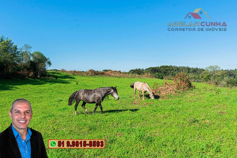 Sítio À VENDA em Serra Grande, Gramado – Três Coroas - RS: 5ª foto da galeria de imagens do imóvel
