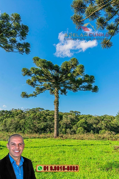 Sítio À VENDA em Serra Grande, Gramado – Três Coroas - RS: 6ª foto da galeria de imagens do imóvel