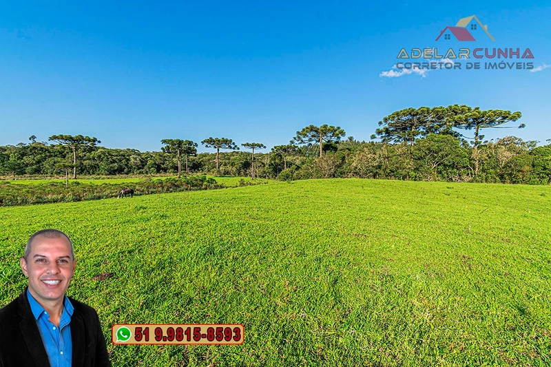 Sítio À VENDA em Serra Grande, Gramado – Três Coroas - RS: 9ª foto da galeria de imagens do imóvel