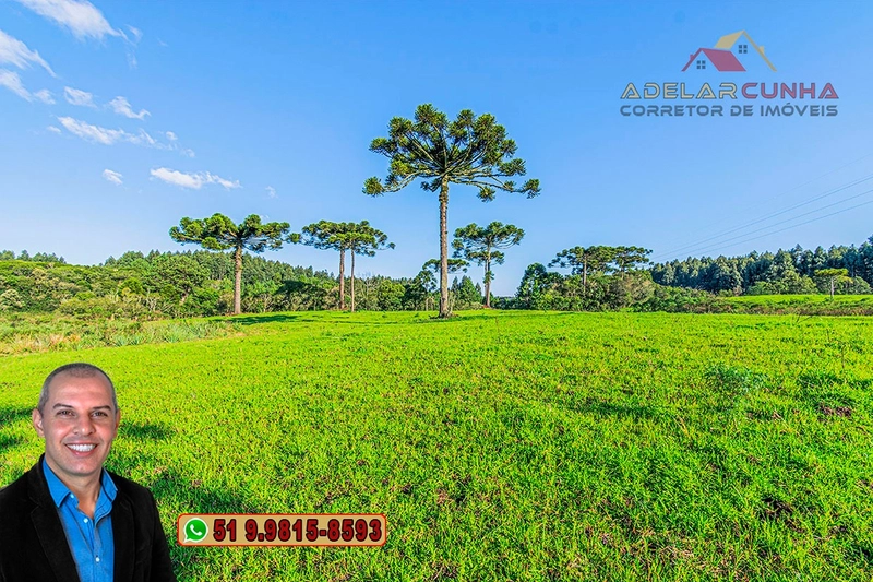 Sítio À VENDA em Serra Grande, Gramado – Três Coroas - RS: 5ª foto da galeria de imagens do imóvel