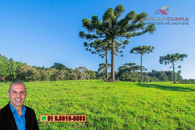 Sítio À VENDA em Serra Grande, Gramado – Três Coroas - RS: 4ª foto da galeria de imagens do imóvel