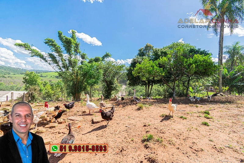 Chácara de 1.5 hectares à VENDA em Parobé - (Próximo a Santa Cristina): 12ª foto da galeria de imagens do imóvel