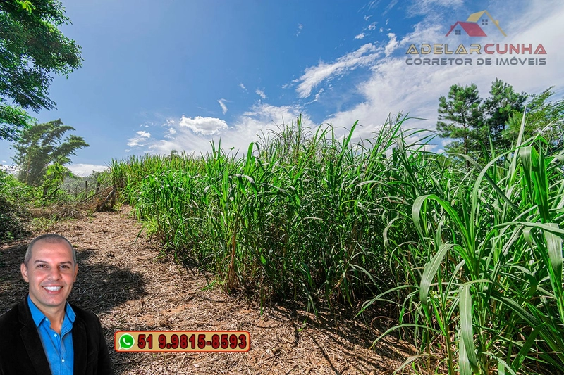 Chácara de 1.5 hectares à VENDA em Parobé - (Próximo a Santa Cristina): 25ª foto da galeria de imagens do imóvel