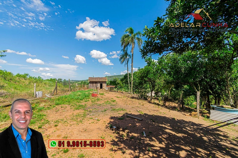 Chácara de 1.5 hectares à VENDA em Parobé - (Próximo a Santa Cristina): 15ª foto da galeria de imagens do imóvel