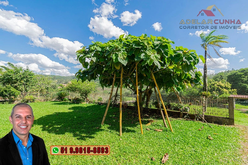 Chácara de 1.5 hectares à VENDA em Parobé - (Próximo a Santa Cristina): 28ª foto da galeria de imagens do imóvel
