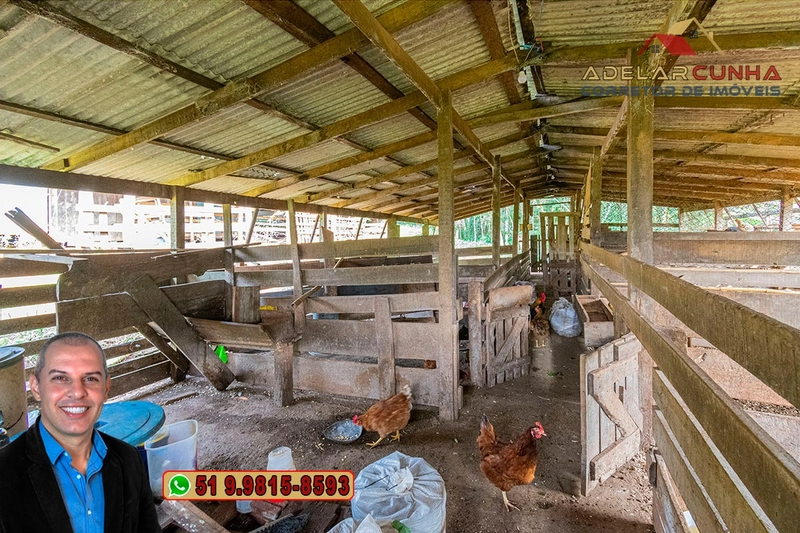 Sítio de 7.9 hectares à VENDA em Igrejinha - RS: 19ª foto da galeria de imagens do imóvel