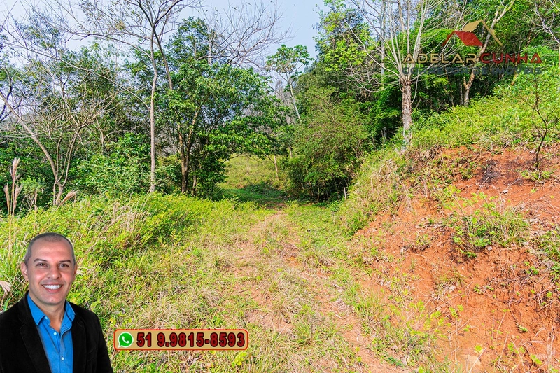 Sítio de 7.9 hectares à VENDA em Igrejinha - RS: 38ª foto da galeria de imagens do imóvel