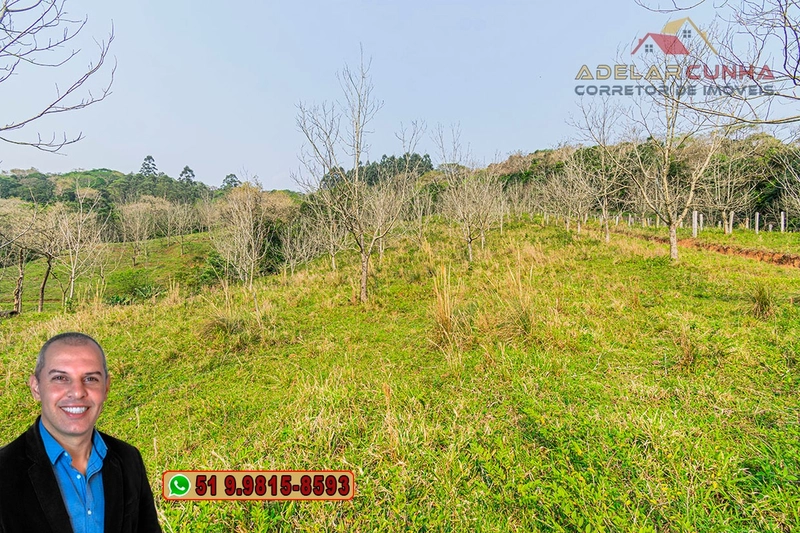 Sítio de 7.9 hectares à VENDA em Igrejinha - RS: 28ª foto da galeria de imagens do imóvel