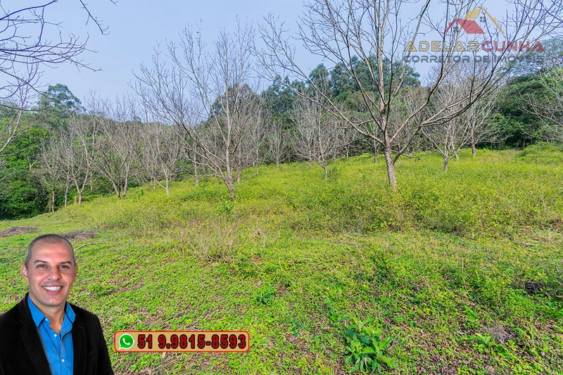 Sítio de 7.9 hectares à VENDA em Igrejinha - RS: 43ª foto da galeria de imagens do imóvel