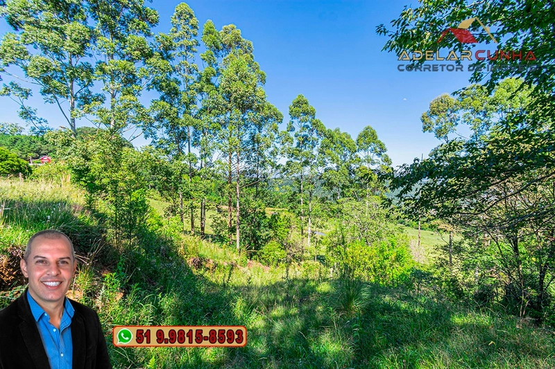 Chácara de 3 hectares à VENDA em Igrejinha - RS: 18ª foto da galeria de imagens do imóvel