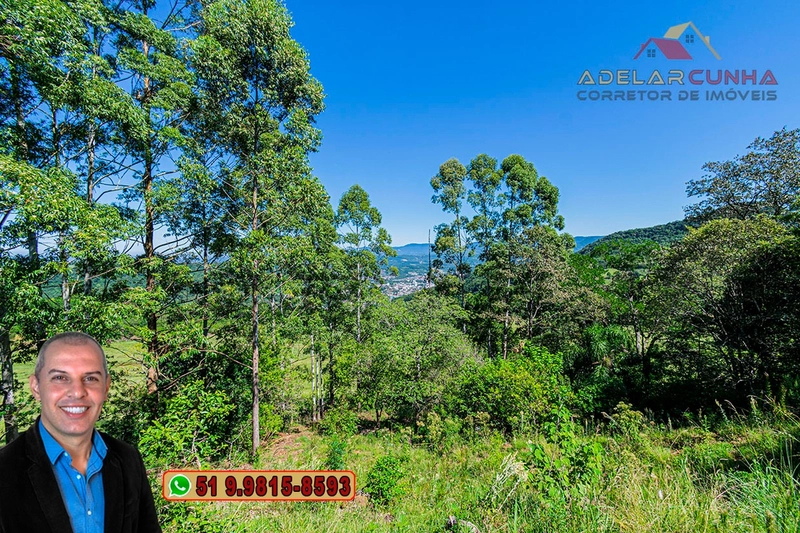Chácara de 3 hectares à VENDA em Igrejinha - RS: 17ª foto da galeria de imagens do imóvel