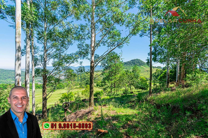Chácara de 3 hectares à VENDA em Igrejinha - RS: 44ª foto da galeria de imagens do imóvel
