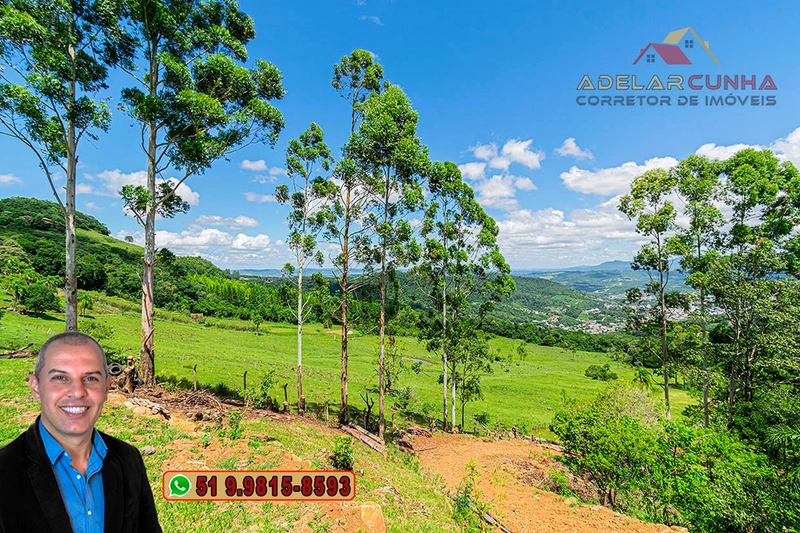 Chácara de 3 hectares à VENDA em Igrejinha - RS: 64ª foto da galeria de imagens do imóvel