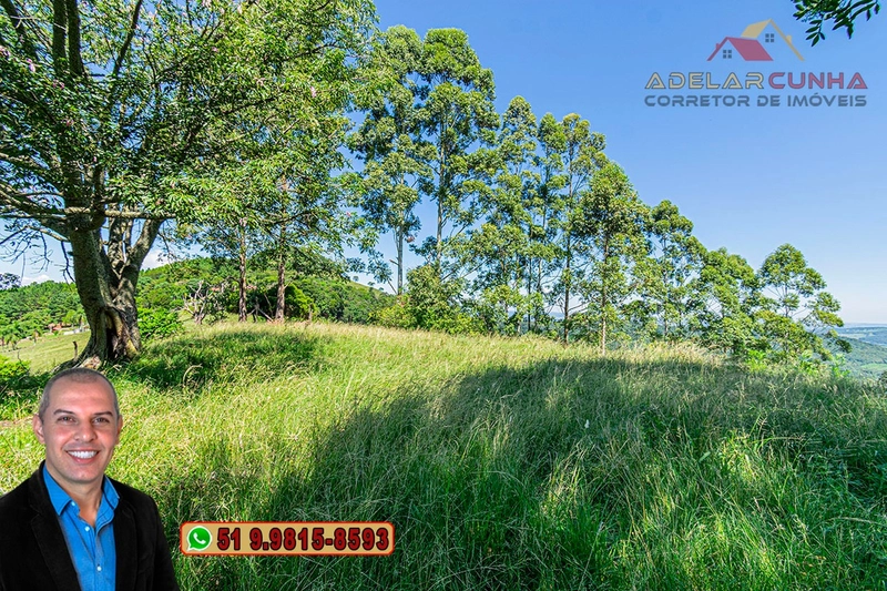 Chácara de 3 hectares à VENDA em Igrejinha - RS: 39ª foto da galeria de imagens do imóvel