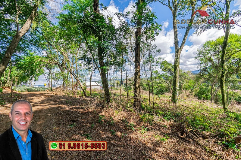 Terreno Comercial de 8.000m² com frente para RS-115 à Venda em Igrejin: 7ª foto da galeria de imagens do imóvel