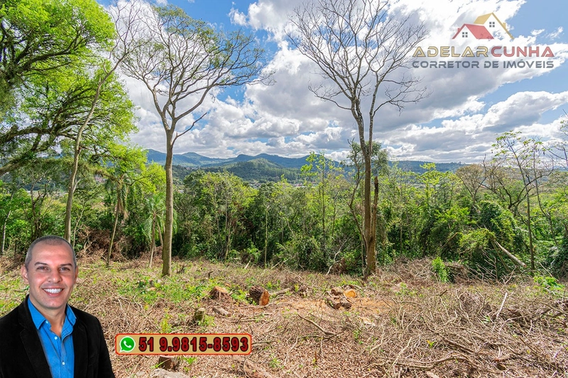Terreno Comercial de 8.000m² com frente para RS-115 à Venda em Igrejin: 14ª foto da galeria de imagens do imóvel
