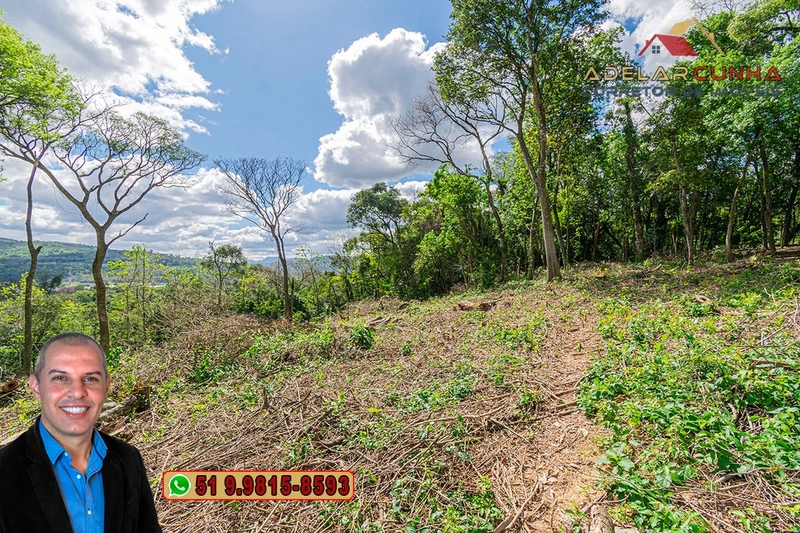 Terreno Comercial de 8.000m² com frente para RS-115 à Venda em Igrejin: 13ª foto da galeria de imagens do imóvel