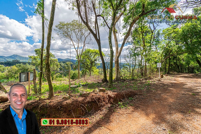 Terreno Comercial de 8.000m² com frente para RS-115 à Venda em Igrejin: 8ª foto da galeria de imagens do imóvel