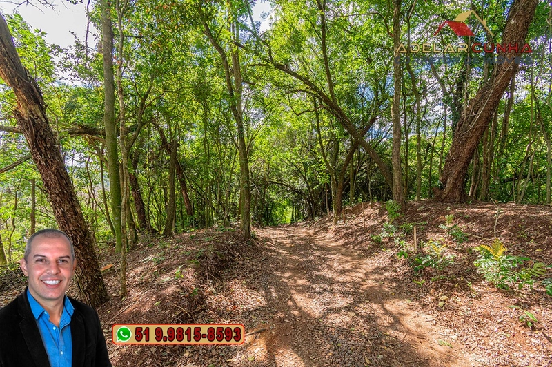 Terreno Comercial de 8.000m² com frente para RS-115 à Venda em Igrejin: 5ª foto da galeria de imagens do imóvel