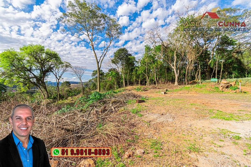 Terreno Comercial de 8.000m² com frente para RS-115 à Venda em Igrejin: 9ª foto da galeria de imagens do imóvel