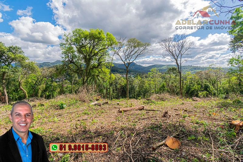Terreno Comercial de 8.000m² com frente para RS-115 à Venda em Igrejin: 12ª foto da galeria de imagens do imóvel