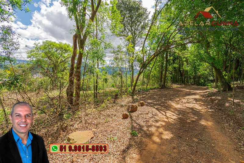Terreno Comercial de 8.000m² com frente para RS-115 à Venda em Igrejin: 6ª foto da galeria de imagens do imóvel