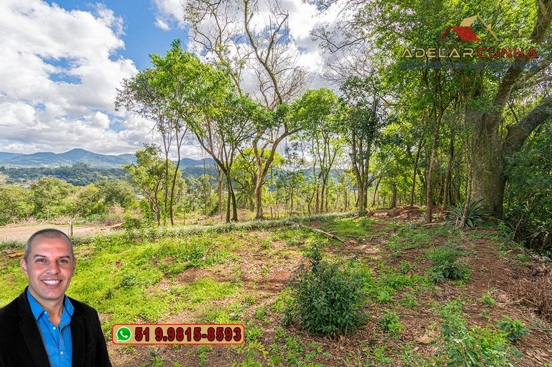 Terreno Comercial de 8.000m² com frente para RS-115 à Venda em Igrejin: 19ª foto da galeria de imagens do imóvel