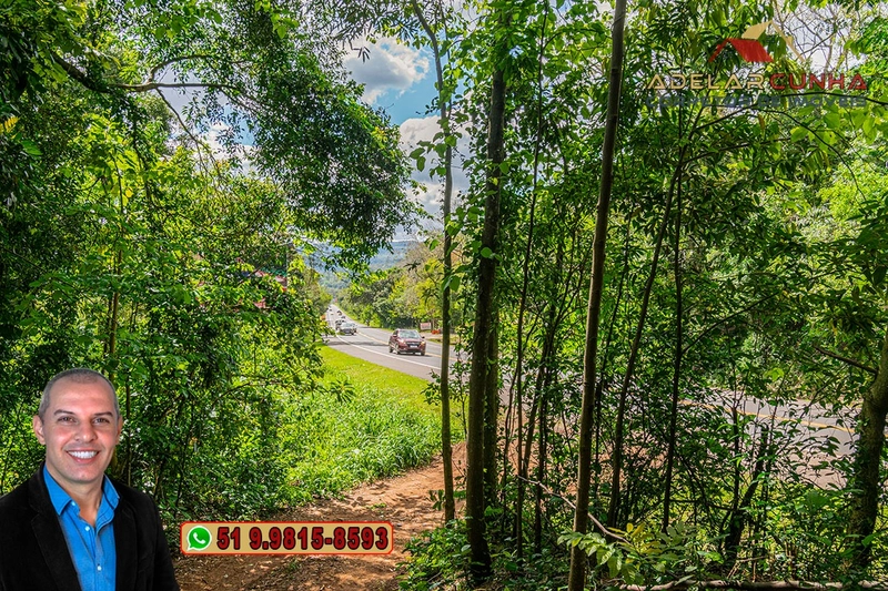 Terreno Comercial de 8.000m² com frente para RS-115 à Venda em Igrejin: 3ª foto da galeria de imagens do imóvel