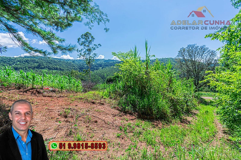 Chácara de 5 hectares com Vista Panorâmica à VENDA Igrejinha - RS: 4ª foto da galeria de imagens do imóvel