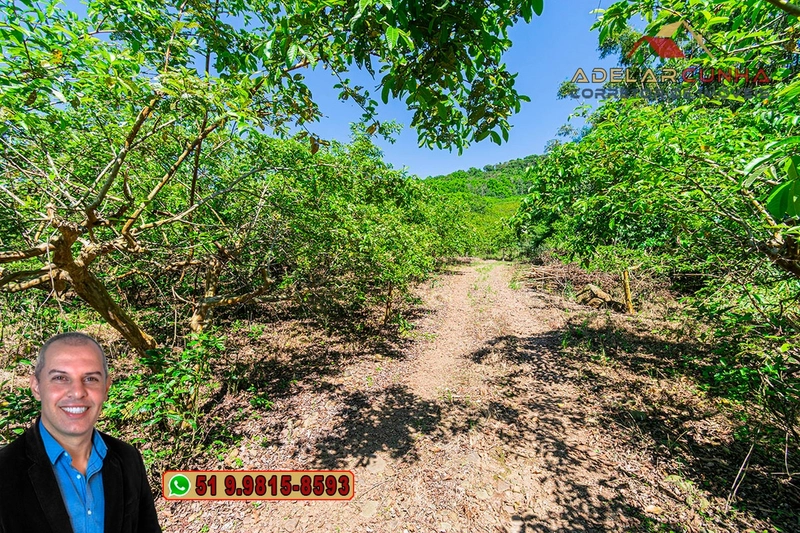 Sítio de 9 hectares à VENDA Igrejinha - RS: 20ª foto da galeria de imagens do imóvel