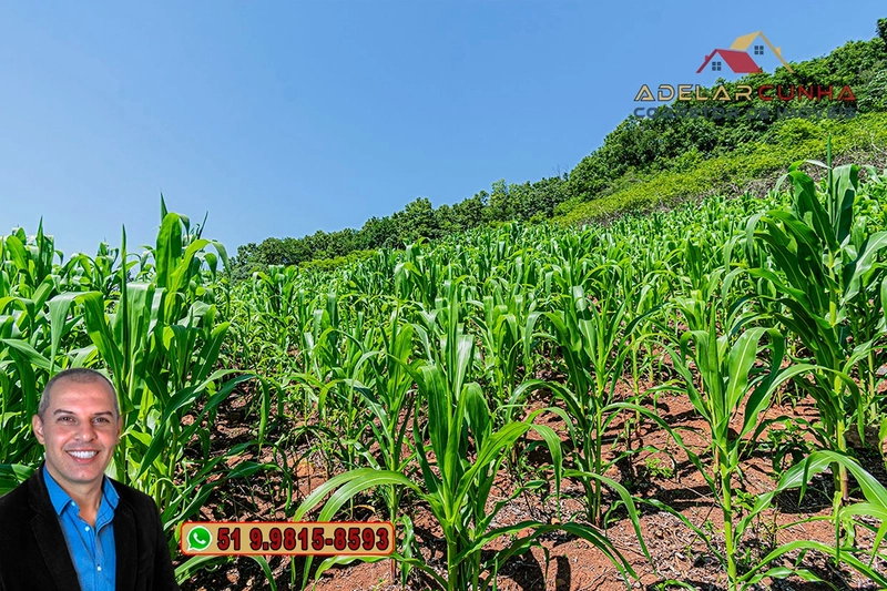 Chácara de 5 hectares com Vista Panorâmica à VENDA Igrejinha - RS: 22ª foto da galeria de imagens do imóvel