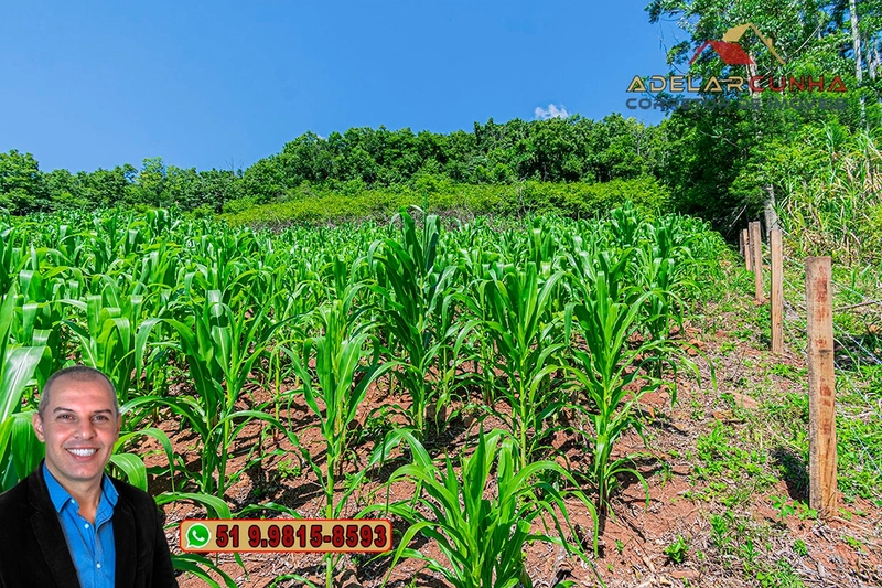 Chácara de 5 hectares com Vista Panorâmica à VENDA Igrejinha - RS: 21ª foto da galeria de imagens do imóvel