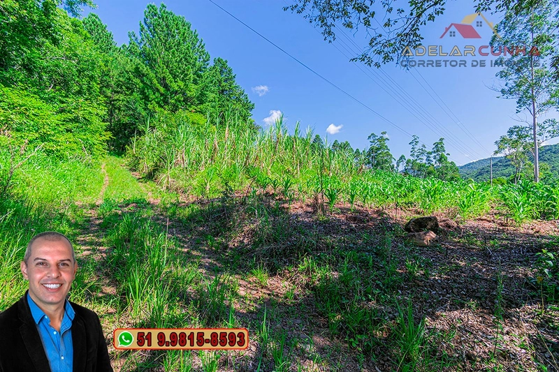 Chácara de 5 hectares com Vista Panorâmica à VENDA Igrejinha - RS: 3ª foto da galeria de imagens do imóvel