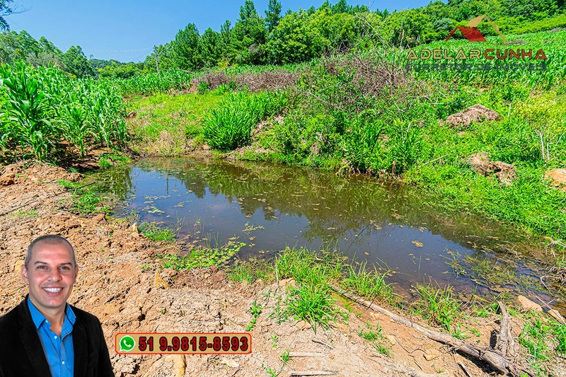 Chácara de 5 hectares com Vista Panorâmica à VENDA Igrejinha - RS: 33ª foto da galeria de imagens do imóvel