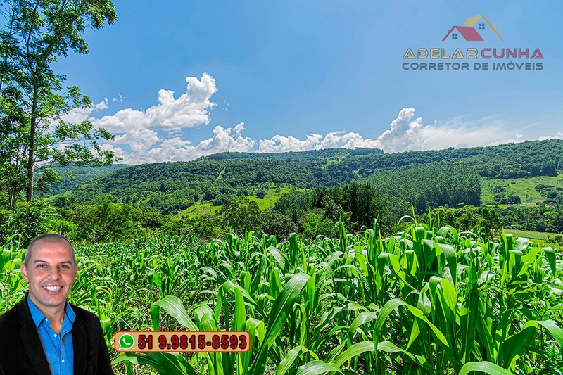 Chácara de 5 hectares com Vista Panorâmica à VENDA Igrejinha - RS: 17ª foto da galeria de imagens do imóvel