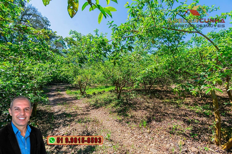 Sítio de 9 hectares à VENDA Igrejinha - RS: 19ª foto da galeria de imagens do imóvel