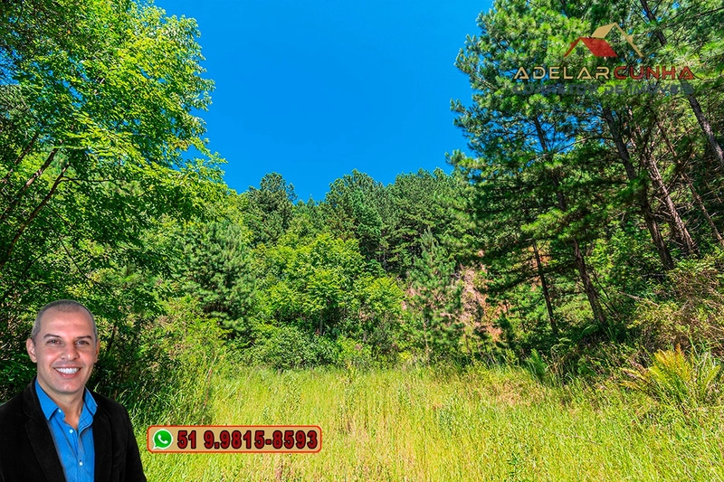 Chácara de 5 hectares com Vista Panorâmica à VENDA Igrejinha - RS: 28ª foto da galeria de imagens do imóvel