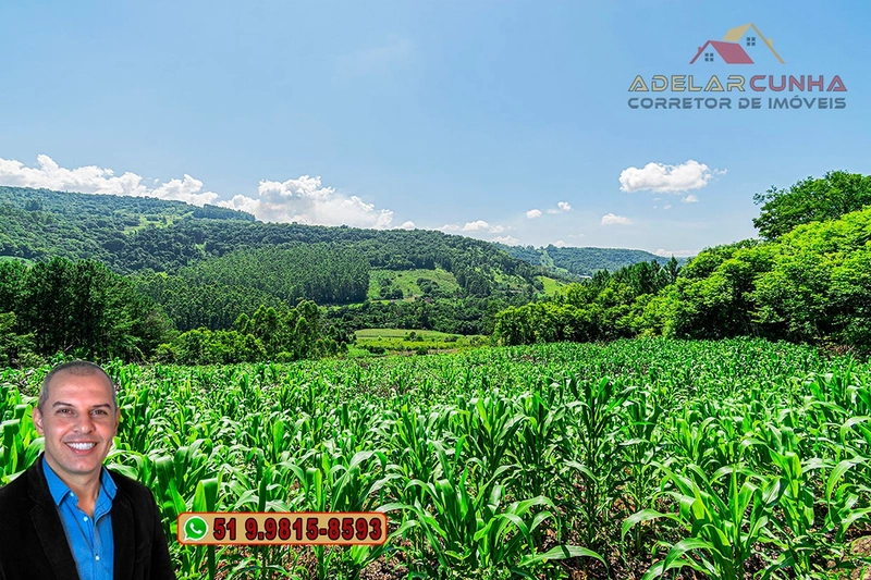 Chácara de 5 hectares com Vista Panorâmica à VENDA Igrejinha - RS: 15ª foto da galeria de imagens do imóvel