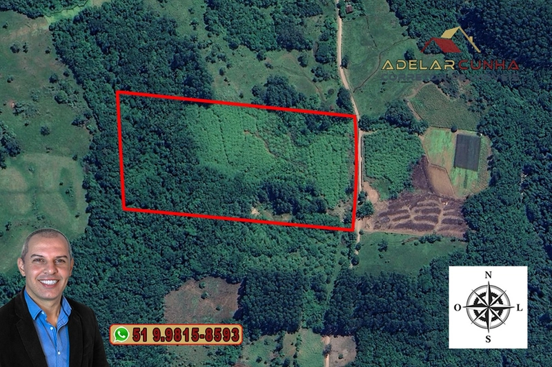 Chácara de 5 hectares com Vista Panorâmica à VENDA Igrejinha - RS: 36ª foto da galeria de imagens do imóvel