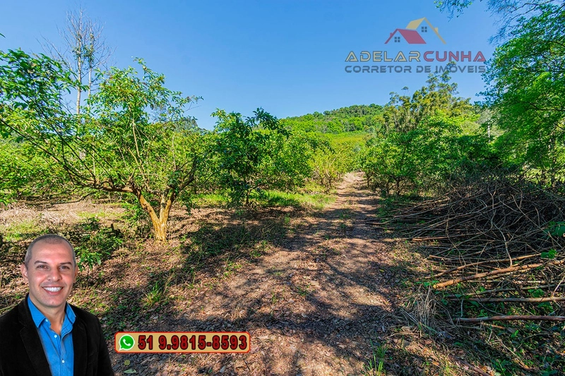 Sítio de 9 hectares à VENDA Igrejinha - RS: 18ª foto da galeria de imagens do imóvel