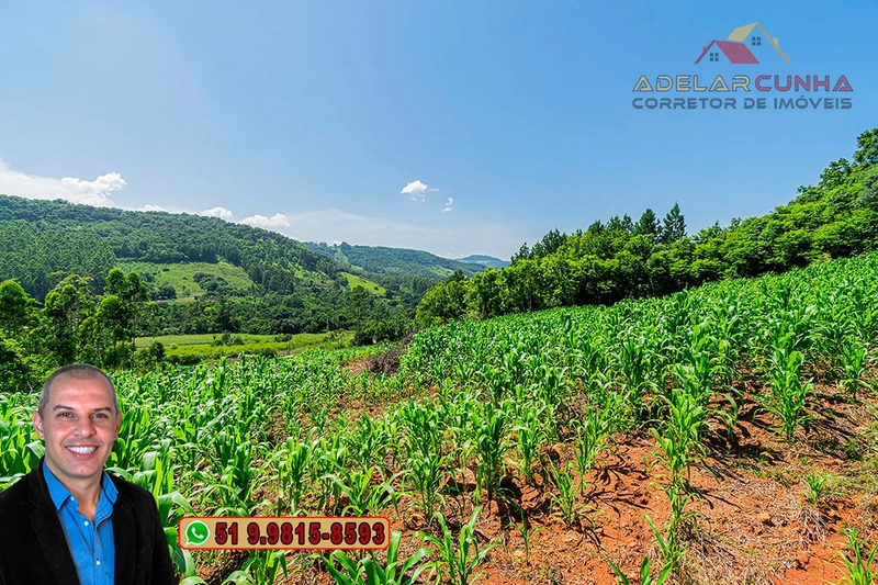 Chácara de 5 hectares com Vista Panorâmica à VENDA Igrejinha - RS: 11ª foto da galeria de imagens do imóvel