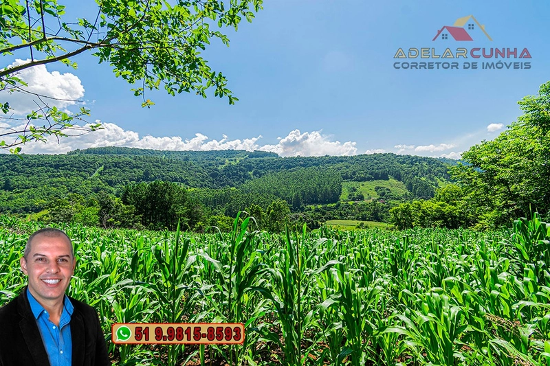 Chácara de 5 hectares com Vista Panorâmica à VENDA Igrejinha - RS: 12ª foto da galeria de imagens do imóvel