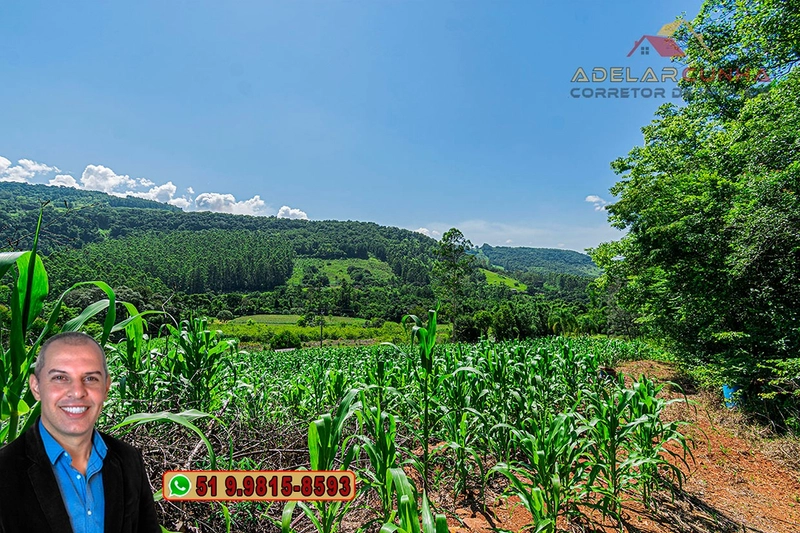 Chácara de 5 hectares com Vista Panorâmica à VENDA Igrejinha - RS: 8ª foto da galeria de imagens do imóvel
