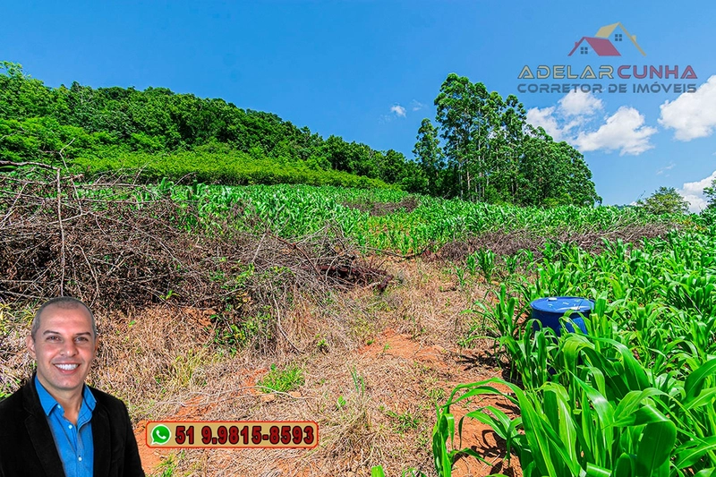 Chácara de 5 hectares com Vista Panorâmica à VENDA Igrejinha - RS: 25ª foto da galeria de imagens do imóvel