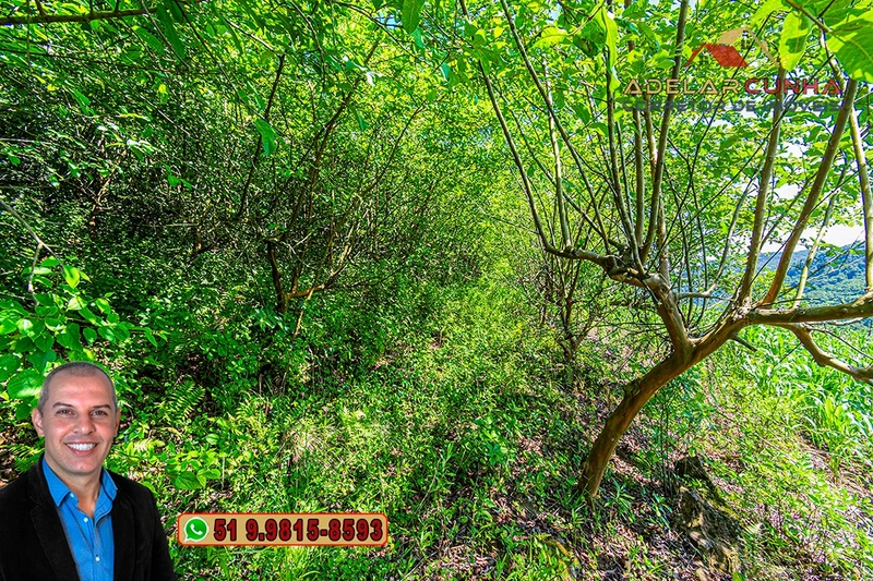 Chácara de 5 hectares com Vista Panorâmica à VENDA Igrejinha - RS: 13ª foto da galeria de imagens do imóvel