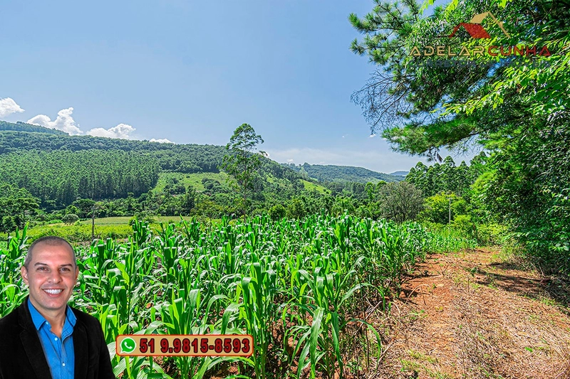 Chácara de 5 hectares com Vista Panorâmica à VENDA Igrejinha - RS: 6ª foto da galeria de imagens do imóvel