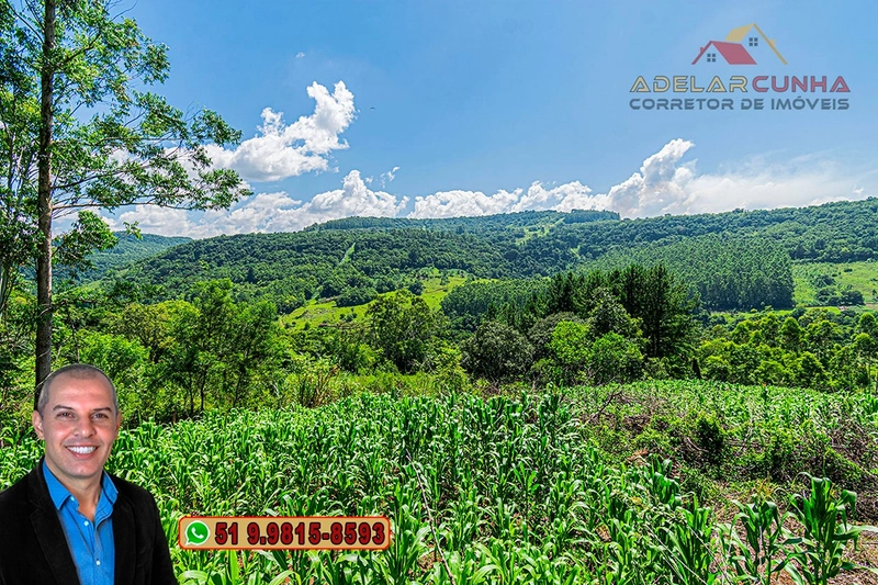 Chácara de 5 hectares com Vista Panorâmica à VENDA Igrejinha - RS: 18ª foto da galeria de imagens do imóvel