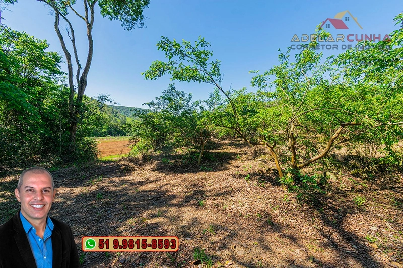 Sítio de 9 hectares à VENDA Igrejinha - RS: 16ª foto da galeria de imagens do imóvel